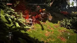 Horizon Forbidden West : JE DÉCOUVRE LE JEU