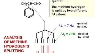 Tree diagram in NMR