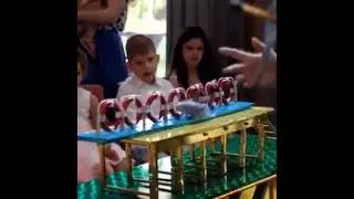 Шоу попугайчиков