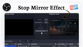How to remove double screen in OBS Studio