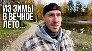 Улетаем на зимовку!