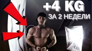 +4 КГ МЯСА ЗА 2 НЕДЕЛИ. ОТЧЁТ ПО ФОРМЕ. Как быстро набрать мышечную массу.