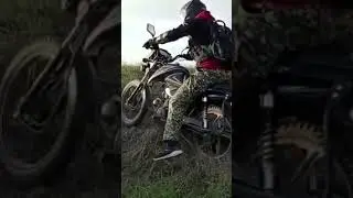 Петрович рулит.