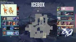 02 19 2022 — EITHER D3 OR IMMO 3 BY THE END OF THIS STREAM   Punz