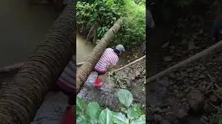 Dal BOM besedo