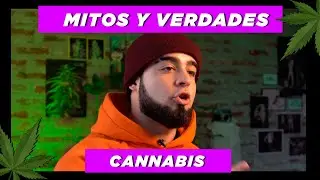 Mitos y Verdades sobre el CANNABIS 🍁​🌿​🍃