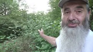 Динозавры на Кавказе.