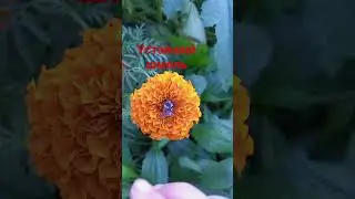 3 сентября 2023 г.