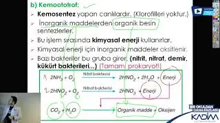 10.SINIF / BİYOLOJİ / Canlılar Arasındaki Beslenme İlişkileri
