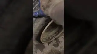 Разварки на жигу 🤯26см ширина на резинеR14/185/65😯 