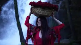 A Grande DÁDIVA da Candelária é testemunhar aquilo que emerge!