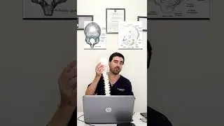 Variazione del numero delle ossa con l'età #shorts