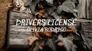 Drivers License - Olivia Rodrigo (Lyrics)🎵