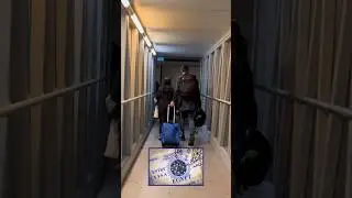 ОБМАН в аэропорту Хургада. ЕГИПЕТ 2024 🇪🇬 