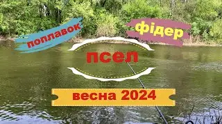 Фідер. Поплавок. Весна Псел. 2024