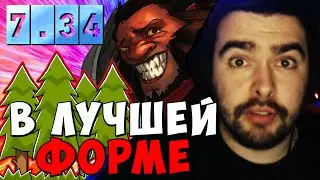 STRAY В ЛУЧШЕЙ ФОРМЕ ПАТЧ 7.34