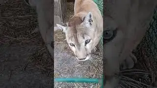 Моя любовь😍❤😘