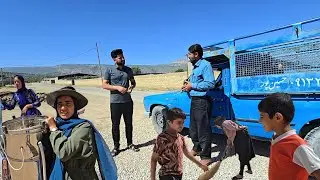 After years of simple living, Mohammad's family is taking a risk for the future? Raising cattle?