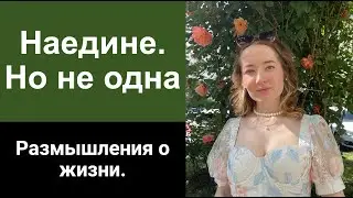 Жизнь, любовь и котики