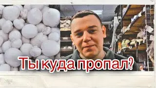 1,5 года не выходил на связь! Как, зачем, и почему!??