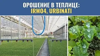Орошение в теплице: поливочные рампы IRMO4, Urbinati