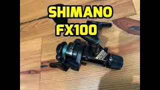 Shimano FX 100- Small But Mighty!
