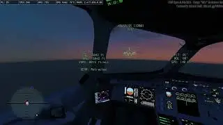 One of the BEST LANDINGS and Cleanest Flights you will ever see in Grand Theft Auto V and FiveM.
