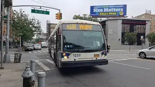MTA NYCT Bus: 2010 NovaBus LFSA 