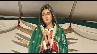 Pray Mary's Rosary for All Our WFRN Family's Holy Intentions