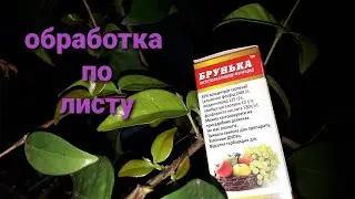 Treating plants with 