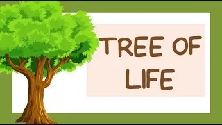 TREE OF LIFE || Psychosocial Support Activity  Sample Demo