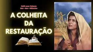 A COLHEITA DA RESTAURAÇÃO | Café com Palavra | Estudo Bíblico | Rute 4
