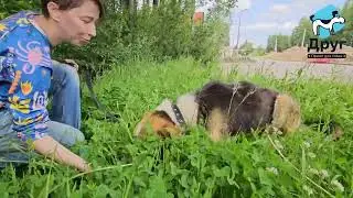 Алгир ищет дом!