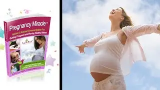 What is the Pregnancy Miracle System?