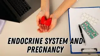 Endocrine system and pregnancy @DrOlenaBerezovska #pregnancy #endocrine_system #doctorberezovska