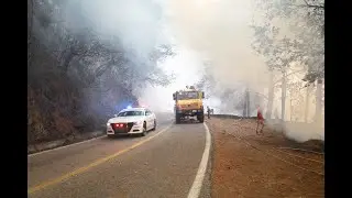 Recuento de daños tras incendio  en Ixtepeji Oaxaca | Entrevista a 📞Magdalena María Coello