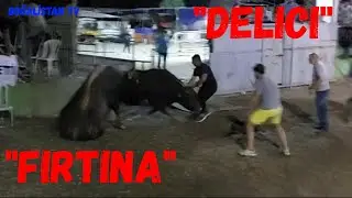 FIRTINA - DELICI / DEREKAPI BAŞ BOYU 2021