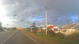 БЛАГОДАРСТВУЙТЕ, СУДАРЫНЯ