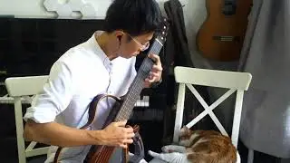 Nocturne op. 9 no. 2 - Frédéric Chopin - Classical Guitar - 20240808