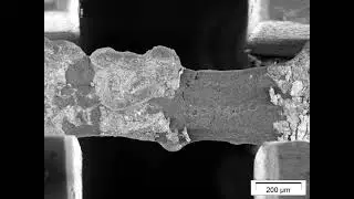 In-situ microtensile testing of iron foam strut