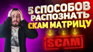 КАК ОПРЕДЕЛИТЬ СКАМ МАТРИЦУ? | ОБЗОР TRON GAME | FORCE USDT | ROCKETON