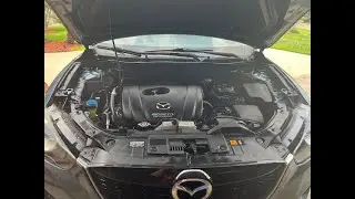 How to Clean Engine Bay in Less than 5 minutes