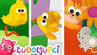 DJEČJE HIT PJESMICE ♫ Jedan mali Pauk (Itsy Bitsy Spider) 🤩 Čudoljupci