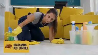 Clacksmacks Pest Control in Action | Real Rodent Removal Service