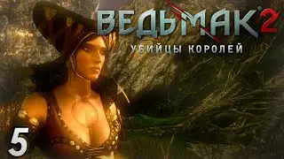Кейран, Битва с Лето и сет Святотатца - Ведьмак 2 Убийцы Королей #5