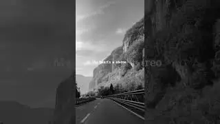 Gym Class Heroes - Stereo Hearts Adam & Levine (Lyrics) #stereohearts #gymclassheroes #aesthetic