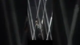 Stage lights doing their JOB.