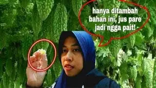 RAHASIA JUS PARE AGAR TIDAK PAHIT | JUS PARE OBAT BERBAGAI MACAM PENYAKIT ALA NINGSIH TINAMPI