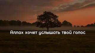 Аллах выбрал Нас для испытаний! (До слез) 