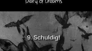 Diary of Dreams - Grau im Licht - Preview 9: Schuldig!